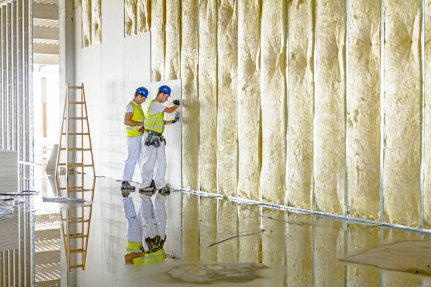 Types of Insulation We Offer in Petersburg, VA